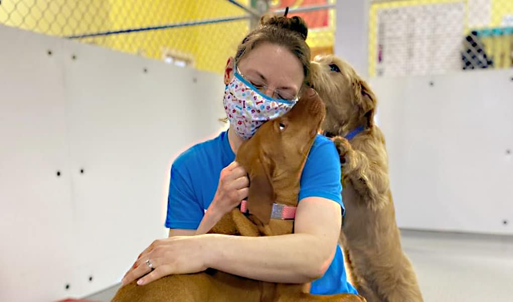 woman hugging dogs